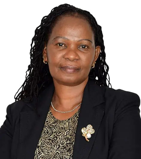 Nairobi city skyline – Angela Nyalita Advocates, Kenya law firm